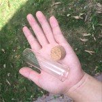 30ml Glass Vials with Cork Stopper - 12 Pack