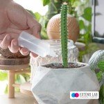 Squeezable 60ml Plastic Dropper Bottles - 5 Pack