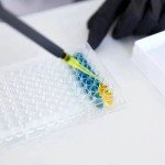 Individually Wrapped 96-Well Tissue Culture Plates