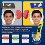 High Precision Digital pH Meter for Water