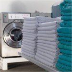 Genuine Joe Economical Powdered Laundry Detergent