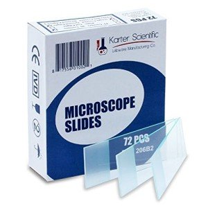 Frosted Microscope Slides with Ground Edges (72 Pack)