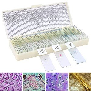 60 Prepared Microscope Slides for Kids and Adults