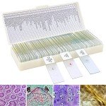 60 Prepared Microscope Slides for Kids and Adults