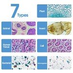 60 Prepared Microscope Slides for Kids and Adults