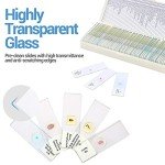 60 Prepared Microscope Slides for Kids and Adults