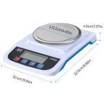 Precision Digital Lab Scale 1000g x 0.01g