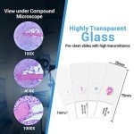 100 Microscope Slides with Specimens for Education