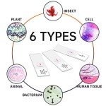 100 Microscope Slides with Specimens for Education