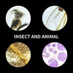 100 Microscope Slides with Specimens for Education