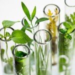 BorinGlass Clear Round Bottom Test Tubes (100)