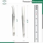 Essential 2PC Stainless Steel Forceps Set - 4.5