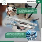 Essential 2PC Stainless Steel Forceps Set - 4.5