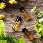 Lallisa 200 Pcs Clear Glass Vials with Caps