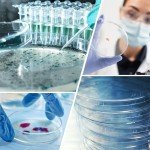 PATIKIL 100mm Clear Petri Dishes with Lids - 12 Pack