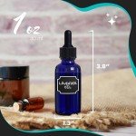 48PK Cobalt Blue Glass Bottles with Droppers