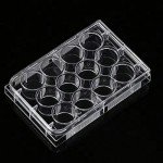 12-Well Tissue Culture Plates - Pack of 10