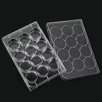 12-Well Tissue Culture Plates - Pack of 10