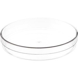 Pioneer Plastics 6" Clear Round Petri Dishes, 2-Pack