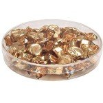 Pioneer Plastics 6" Clear Round Petri Dishes, 2-Pack