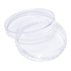 SPL Sterile Petri Dish with 3 Vent Lids