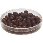 Clear Round Petri Dish, 6" Pack of 12