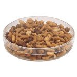 Clear Round Petri Dish, 6" Pack of 12