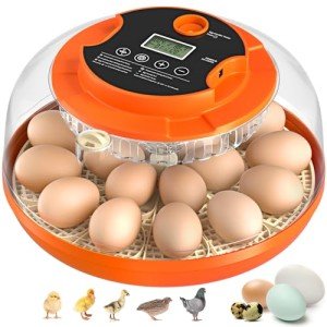 18 Egg Automatic Incubator with Humidity Control