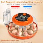 18 Egg Automatic Incubator with Humidity Control