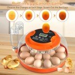 18 Egg Automatic Incubator with Humidity Control