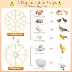 18 Egg Automatic Incubator with Humidity Control