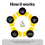 Asbestos Test Kit - 2 Samples with Lab Results