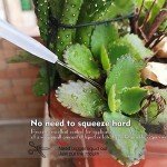 LDPE Narrow Mouth Squeeze Wash Bottle - 500ml