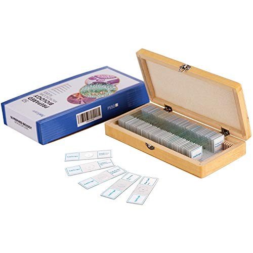 AmScope PS50 Microscope Slide Set – 50 Prepped Slides