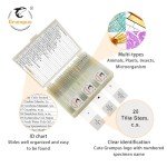 30 Microscope Slides for Kids' Science Exploration