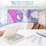 Misoterm Microscope Slides with Specimens for Kids
