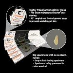 30 Microscope Slides for Kids' Science Exploration