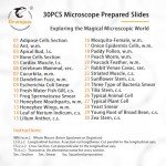 30 Microscope Slides for Kids' Science Exploration