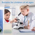 Misoterm Microscope Slides with Specimens for Kids