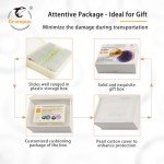 30 Microscope Slides for Kids' Science Exploration