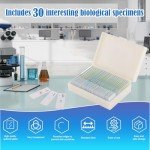 Misoterm Microscope Slides with Specimens for Kids