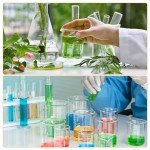 300ml Low Form Glass Beaker, 12 Pack