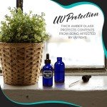 24 Pack Blue 2 Oz Glass Dropper Bottles