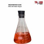 100ml Borosilicate Erlenmeyer Flask Set with Stoppers