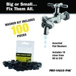 DANCO Assorted Flat Washer Set, 100 Pieces