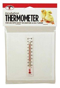 Little Giant® Incubator Thermometer Kit for Egg Incubation