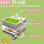 12-Egg Incubator with Auto Turning & Humidity Control