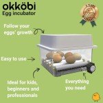 12-Egg Automatic Incubator with Humidity Control