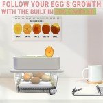 12-Egg Incubator with Auto Turning & Humidity Control