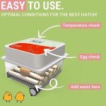 12-Egg Automatic Incubator with Humidity Control